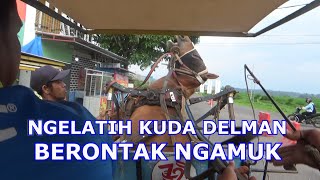 Download lagu THE FIRST HORSE EXERCISE REALLY mp3