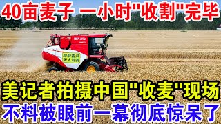 40亩麦子 一小时“收割”完毕，美记者拍摄中国“收麦”现场，不料被眼前一幕彻底惊呆了
