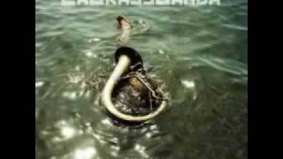 LaBrassBanda-Bauersbua