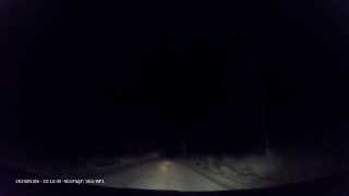 preview picture of video 'Traffic situation - little fox in the night (7)'