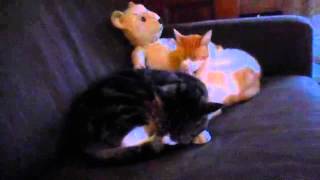 Gilbert and George Chilling to Raymond Scott