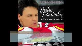 Pedro Fernández - "Debajo Del Sombrero" (Nueva Canción 2014)