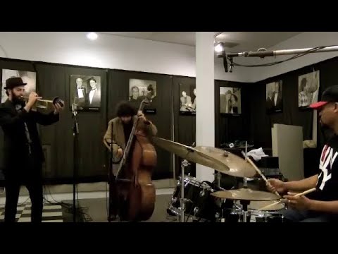 Avishai Cohen Triveni - Live at WBGOs | SECRET SPACE GROOVE