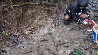 Download lagu Metode Memancing Tradisional | Video Memancing Terbaik di Desa 🐟 Teknik Memancing Paling Menarik mp3 Download lagu Metode Memancing Tradisional | Video Memancing Terbaik di Desa 🐟 Teknik Memancing Paling Menarik mp3