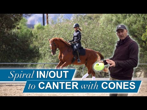 Canter Transitions - the Perfect Setup