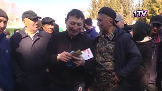 Видео