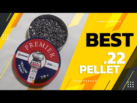 Best 22 Pellet in 2022 – Cheap & Exclusive Products!