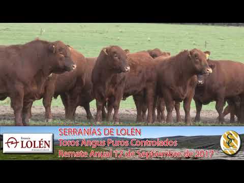 06-09-17 Toros Angus P.C. - Dia de Campo Cabaña Lolén - C. Suarez