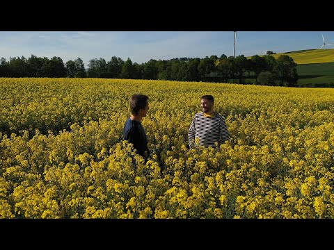 Biomasakr - film o řepce a biopalivech