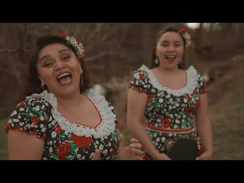 Alerzal de los Ríos - Tus Ojos me van Mirando (VideoClip Oficial)