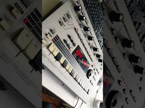 Roland Mc 303 Acid