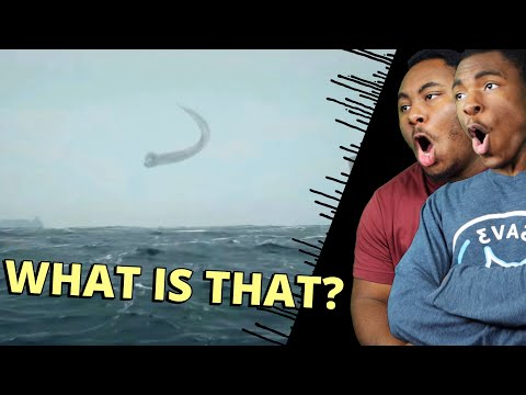 Entity 20: "The Thing on Level 7" - Backroom Thalassophobia (Reaction)