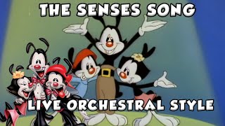 Animaniacs The Senses Song Live Orchestra Mix