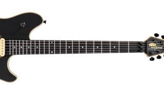 EVH Wolfgang Stealth demo