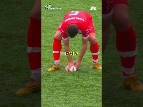 He Saved a Seagull with CPR… This Hero Deserves 1 Million! 🐦❤️‍🩹⚽👏(#football )