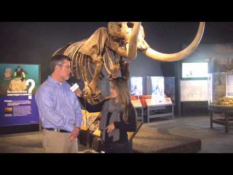 Preview look inside "Mammoths and Mastodons: Titans of the Ice Age" exhibit