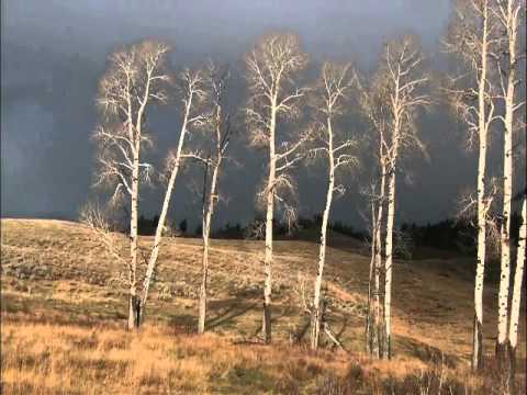 Autumn @ Brosso - TimeLapse