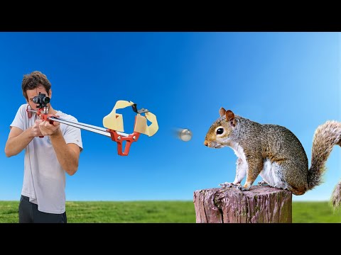 Squirrel Hunting with a Slingshot Rifle!