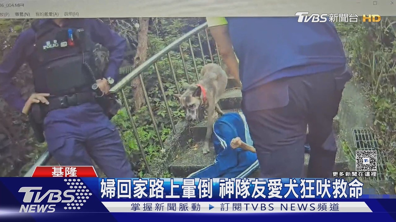 影音／「忠犬救主」基隆婦人體力不支倒地！愛犬狂吠引警及時救回一命