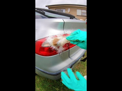 How not to fix a tail light