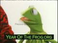Selena Gomez And Kermit The Frog Launch New PSA To Help Amph