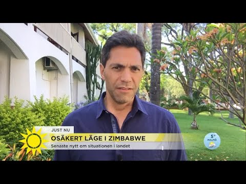 Osäkert läge i Zimbabwe – "Man säger att Mugabe ska ställas inför riksrätt" - Nyhetsmorgon