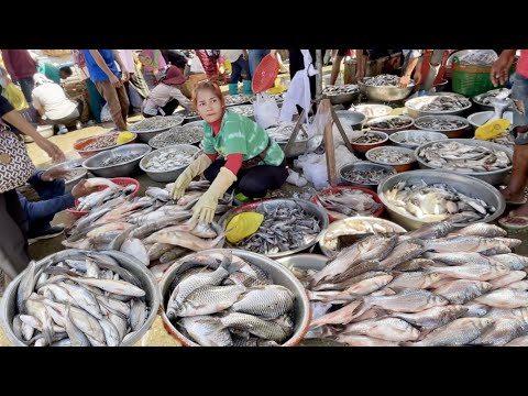 This Is Site At Kilo Number 9 | Amazing Distribution Fish In Phnom Penh of Cambodia