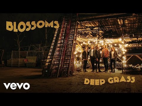 Deep Grass - Blossoms