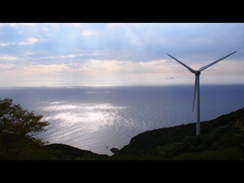 〈2/3 合宿編〉【密着！訪日外国人】和歌山アメリカ村からトロントへ：濱出家ファミリーヒストリー