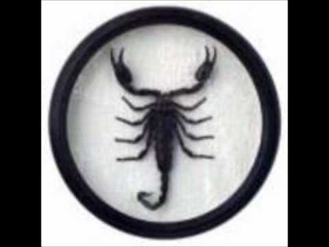 Scorp - Os Podres do Podre [Beef] (Prod. por Ruka, Produtivo e Intakto).wmv