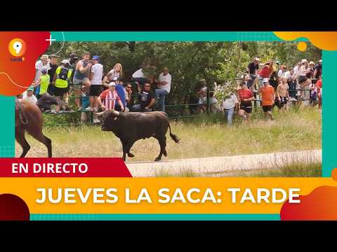 Toro día 25 mediodía plaza. San Juan Coria 2026. Cámara Javi.
