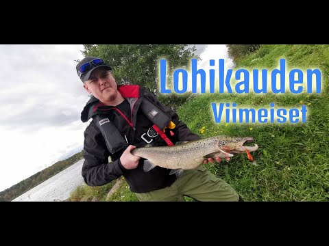 Lohikauden viimeiset. Tornionjoki, Kemijoki.