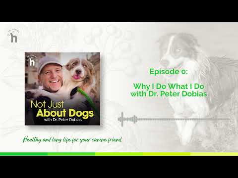 Natural Disease Prevention for Dogs
