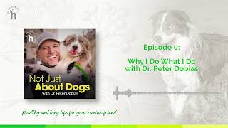 Natural Disease Prevention for Dogs