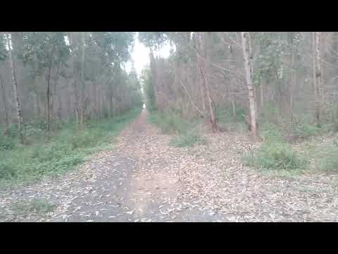 Riqueza e Esplanada Bahia