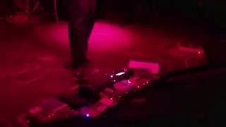 Delicate Steve performing "Cartoon Rock"