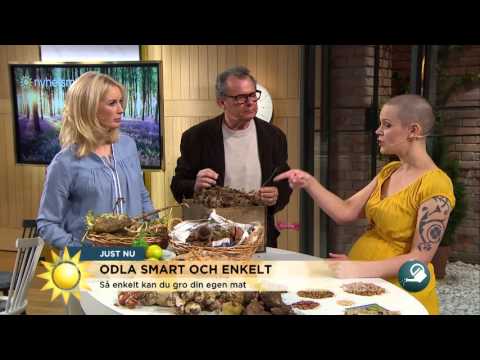 , title : 'Odla smart och enkelt för köket - Nyhetsmorgon (TV4)'