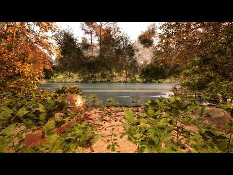 My first render in Unreal Engine 5 (Morning Forest)