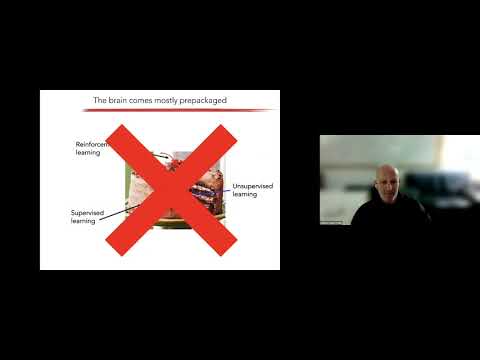 Anthony Zador: "Can connectomics help us understand the brain and sustain the revolution in AI?"