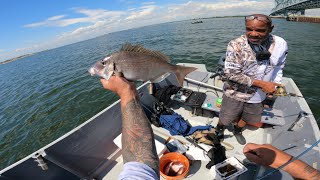 NYC-Marina 59 Skiff rental. DEC PULLED UP AGAIN 8/29/2025