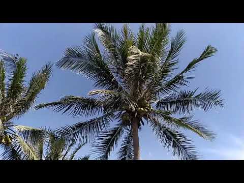 Xioami mi 8 lite slow motion video sample