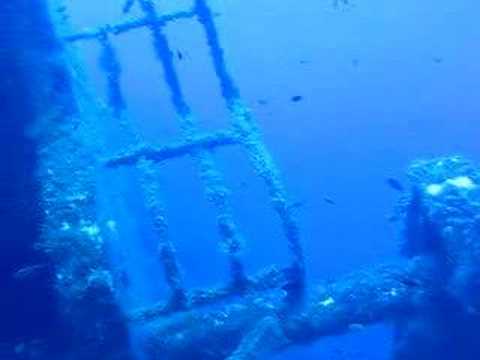 Meravigliosa immersione sulla secca della colombara ad Ustic