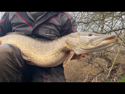 An afternoon Pike Fishing on the River Wye