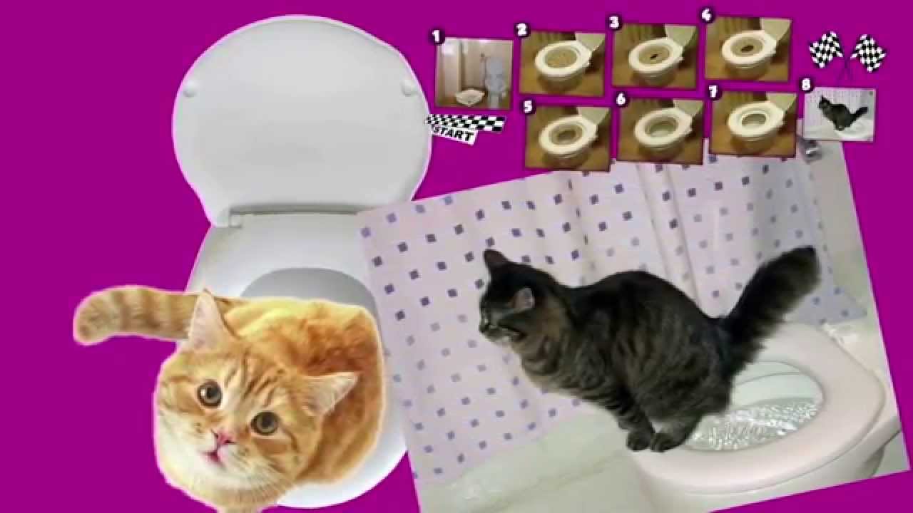 Nakładka na toaletę dla kota WC MRUMRU - Trening