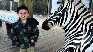 Sydney zoo March 2025