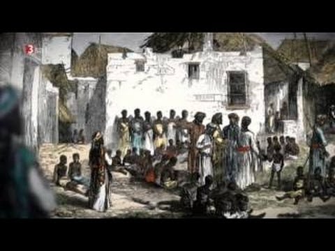 Schatten des Todes - Die Geschichte der Seuchen - Pest Typhus Cholera