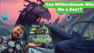 Can Witherbloom, The Balancer Win Me a Box?! My Arena Direct Box Hunt