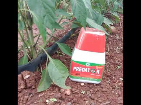 Predator Agricultural Pesticides