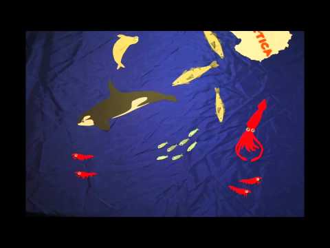 Leave Toothfish alone!