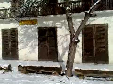 13.DEČKI  ŽUTNICE - Filičev dom na Ravoj g.